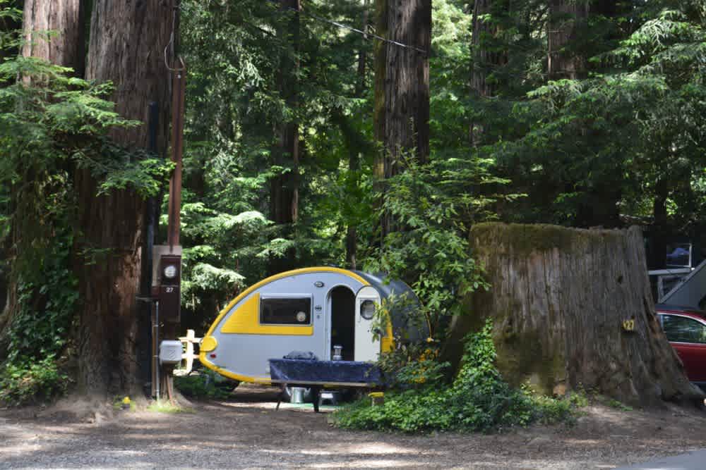 Santa Cruz Redwoods RV Resort