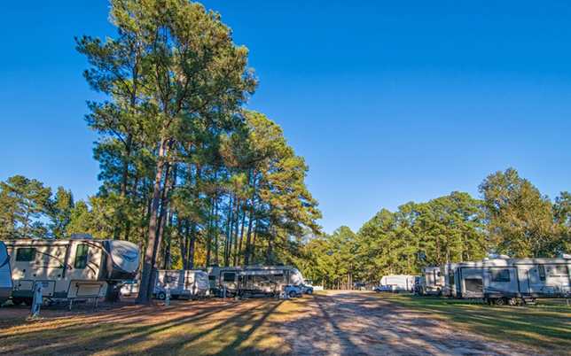 Bass Lake Camp Ground