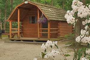 Atlantic Shore Pines Campground- Jersey Shore Camping at its finest!