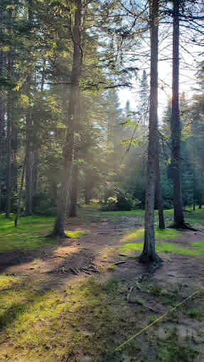 Beechhill Campground & Cabins