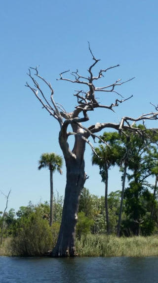 Big Oaks River Resort