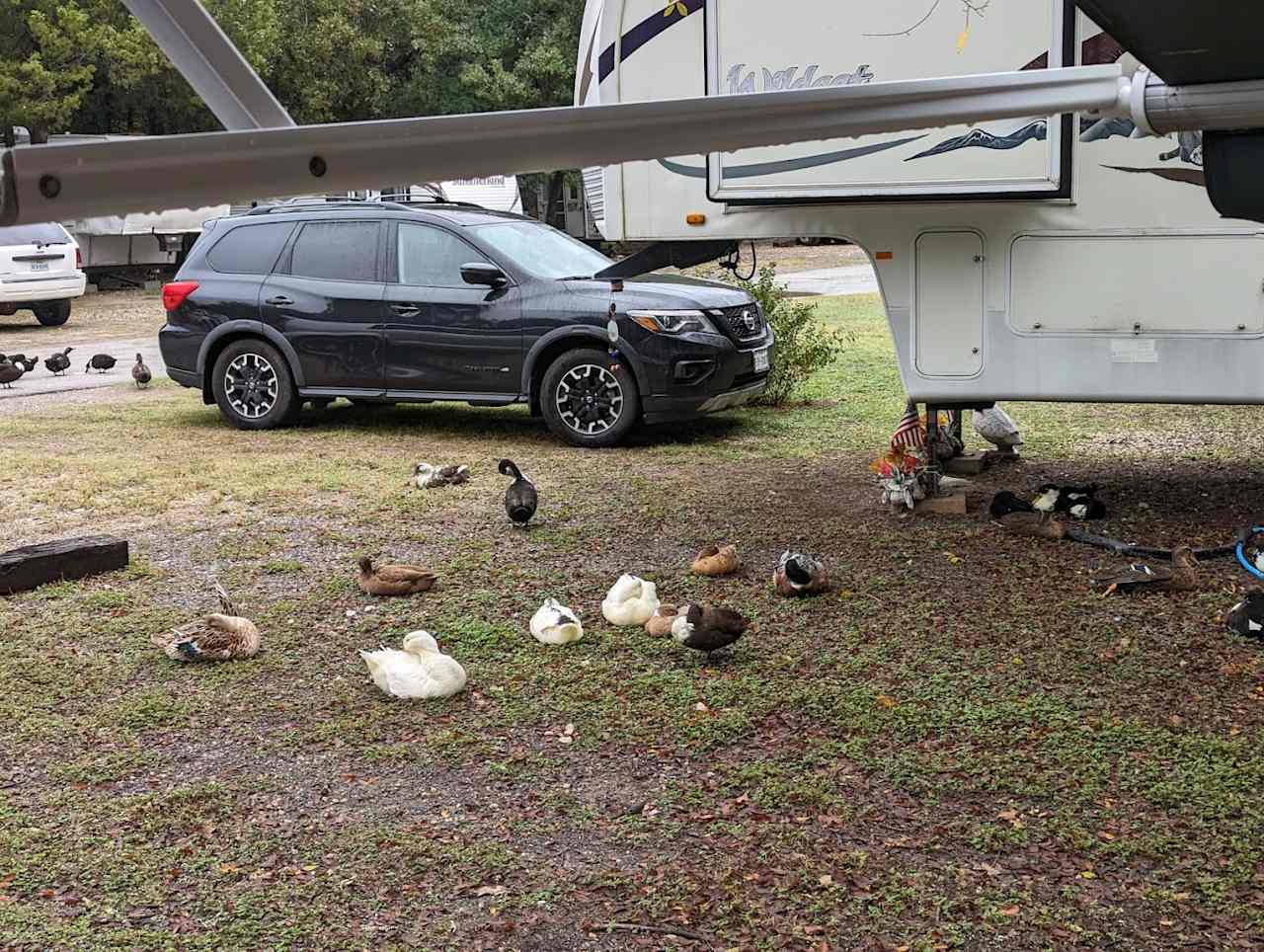 Cedar Grove RV Campground