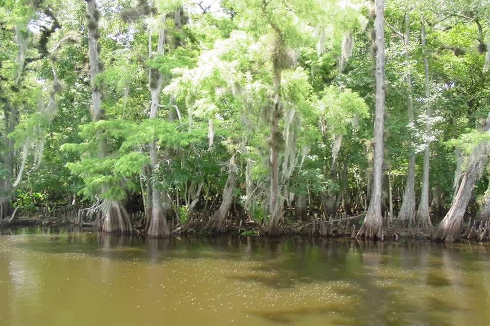 Highbanks Marina and Camp Resort