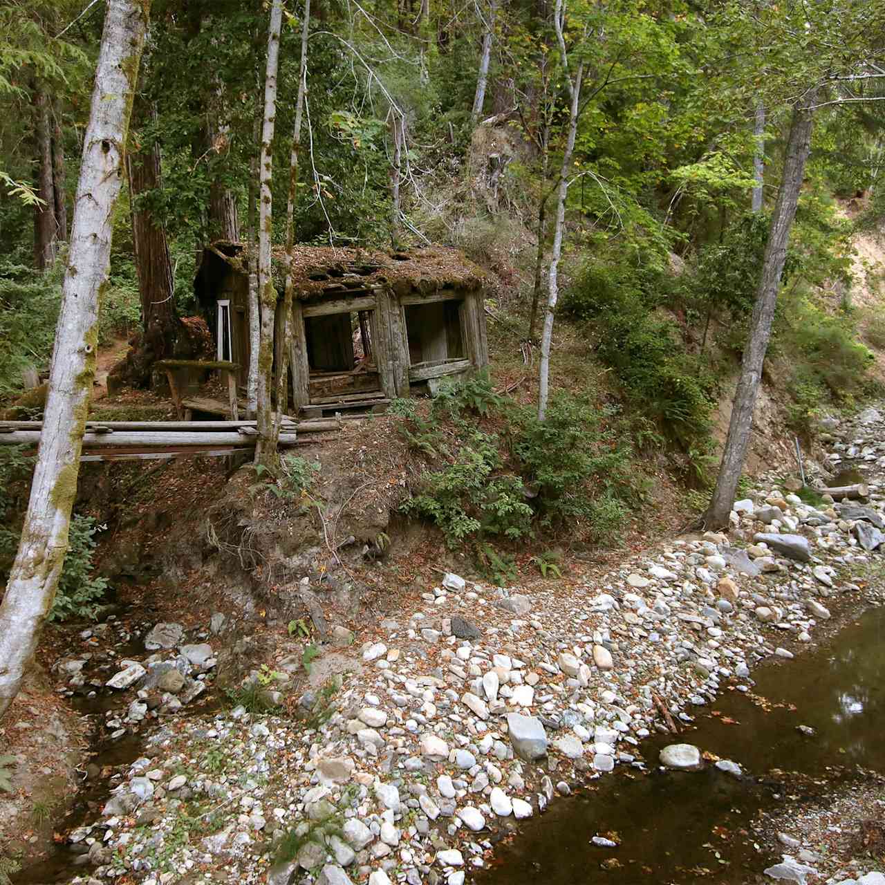 Laurel Mill Lodge