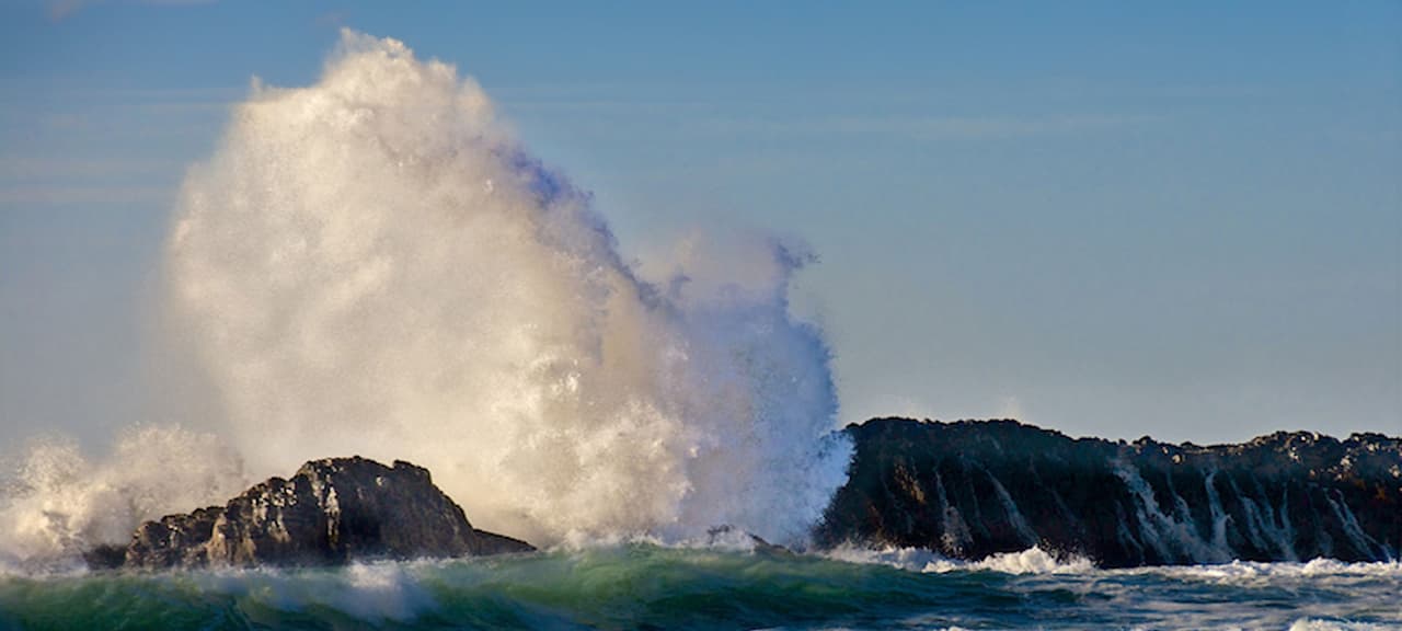 Seal Rocks RV Cove