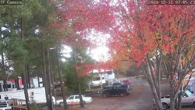 Big Steves Resort RV Park and Marina