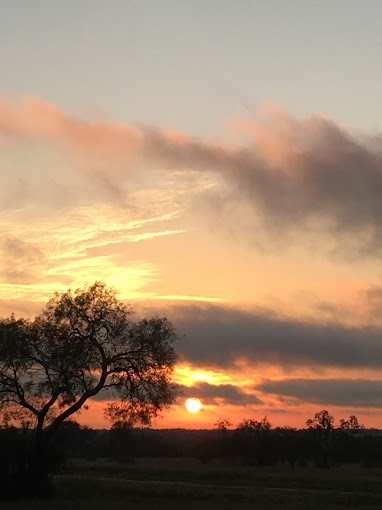 Jericho Ranch RV Park