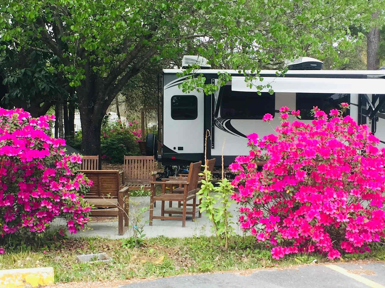 Ladson KOA Holiday