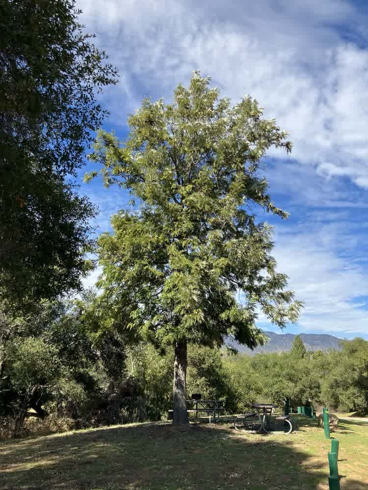 Lake Casitas Recreation Area