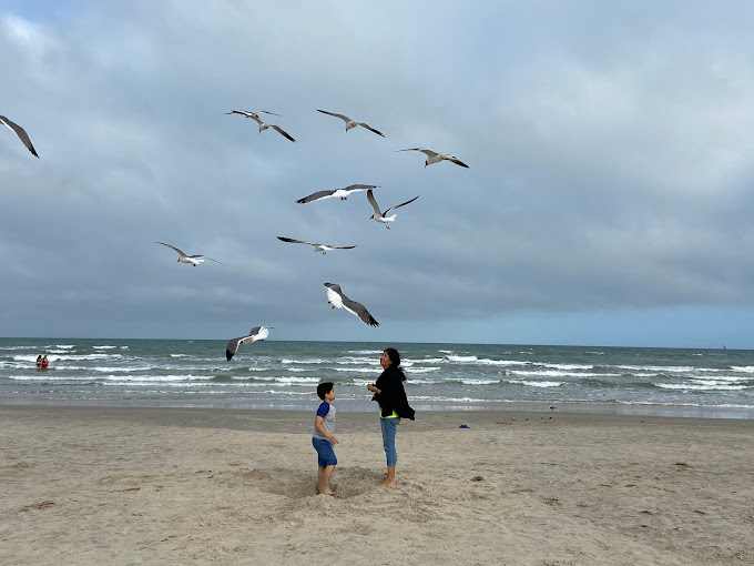 Padre Balli Park - Nueces County Coastal Parks