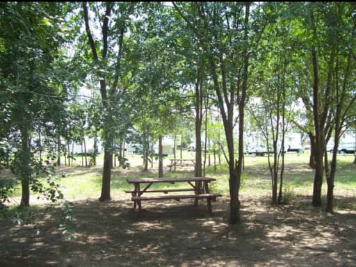 Red Deer Villa RV Ranch