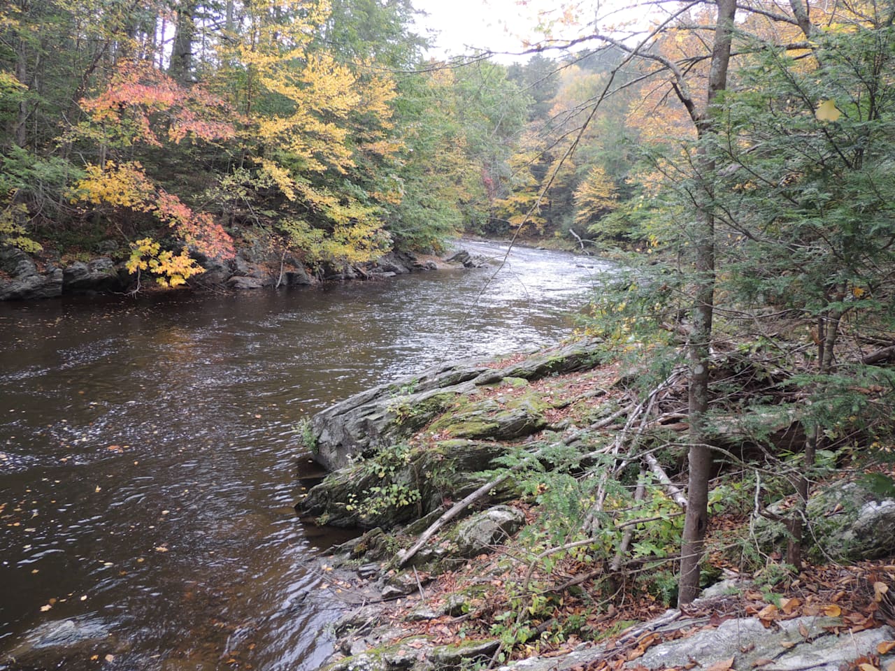 Steep Rock Association