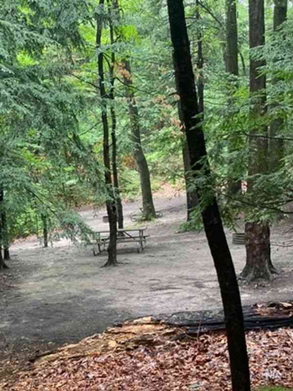 Covert Park Beach and Campground