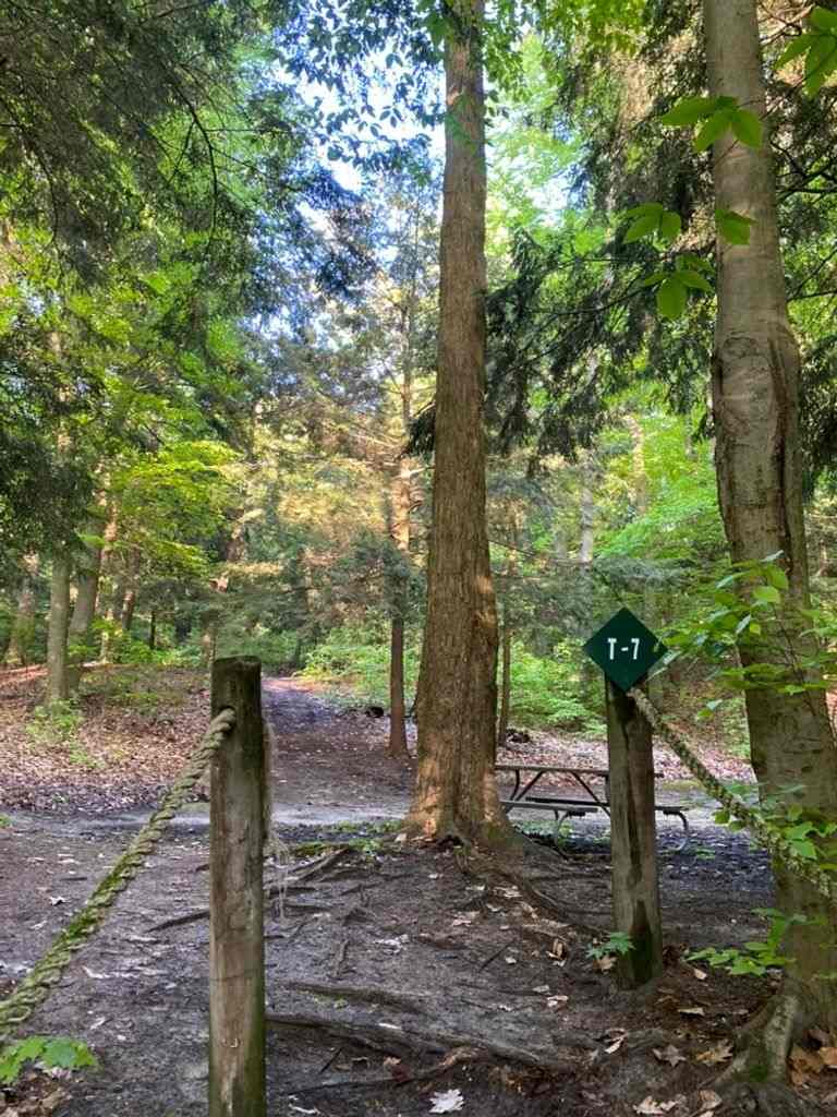 Covert Park Beach and Campground