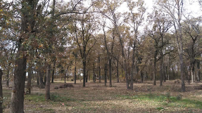 The Lazy Frog RV Park