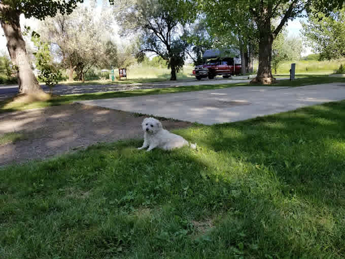 Uncompahgre River RV Park