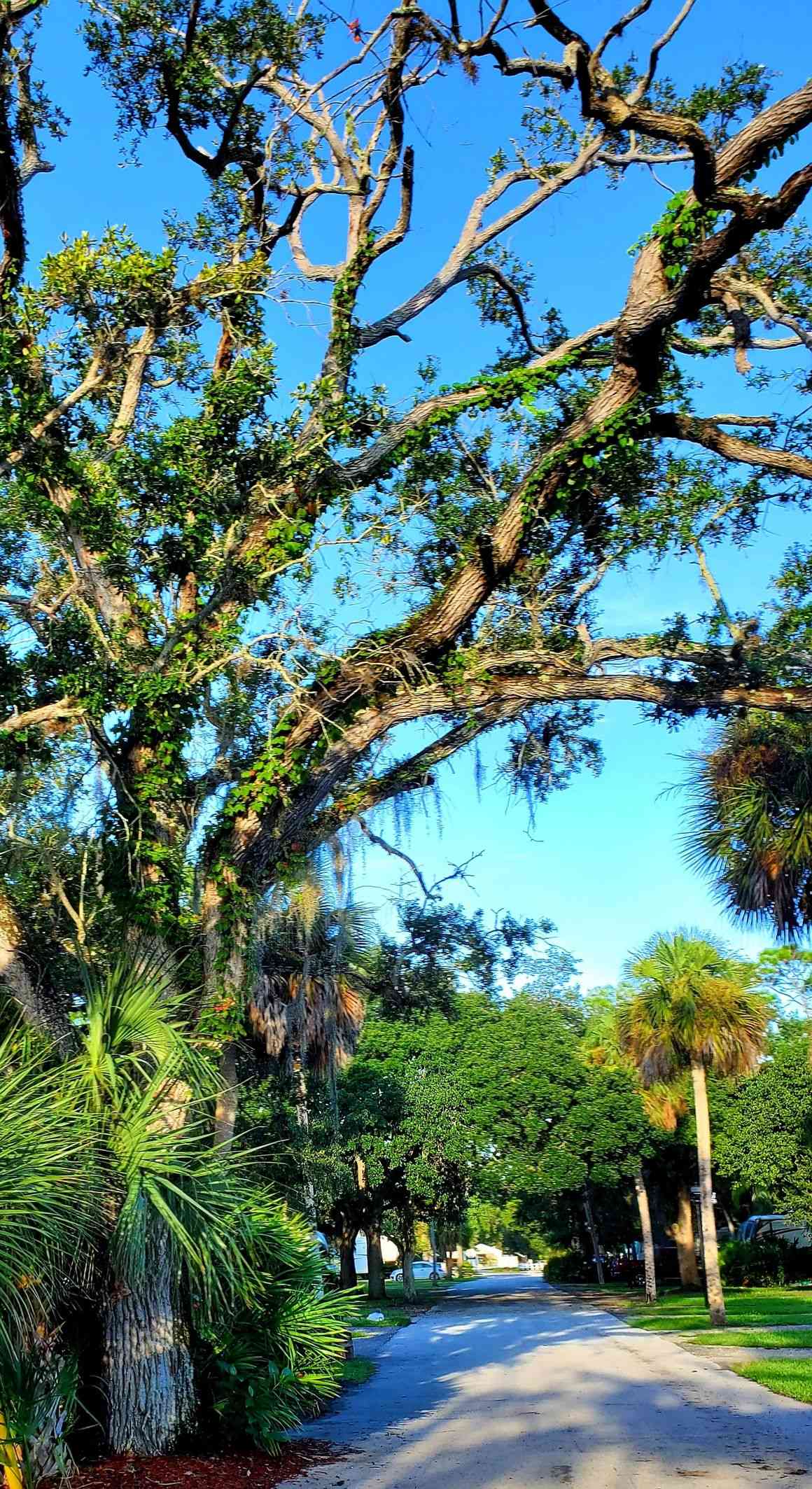 Vero Beach Kamp Inc