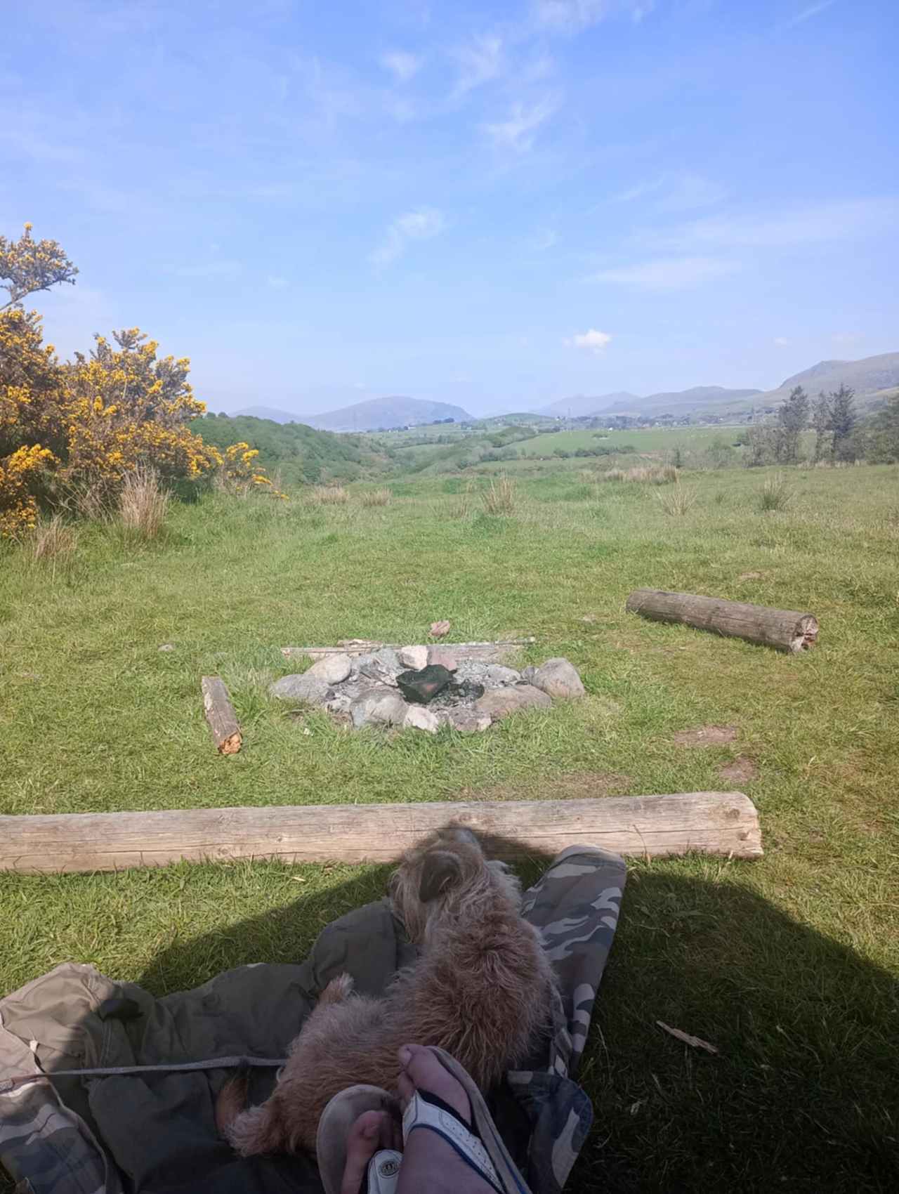 Henbant Permaculture Farm + Camp