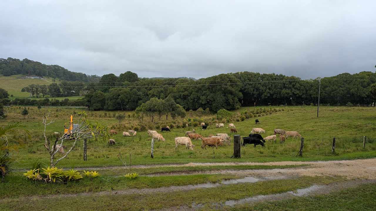 Byron Myocum Farm