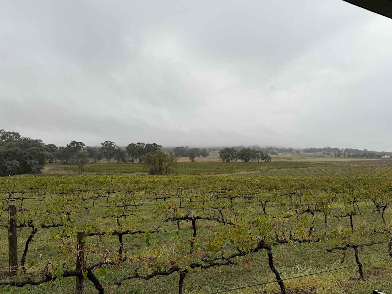Vans in the Vines Mudgee