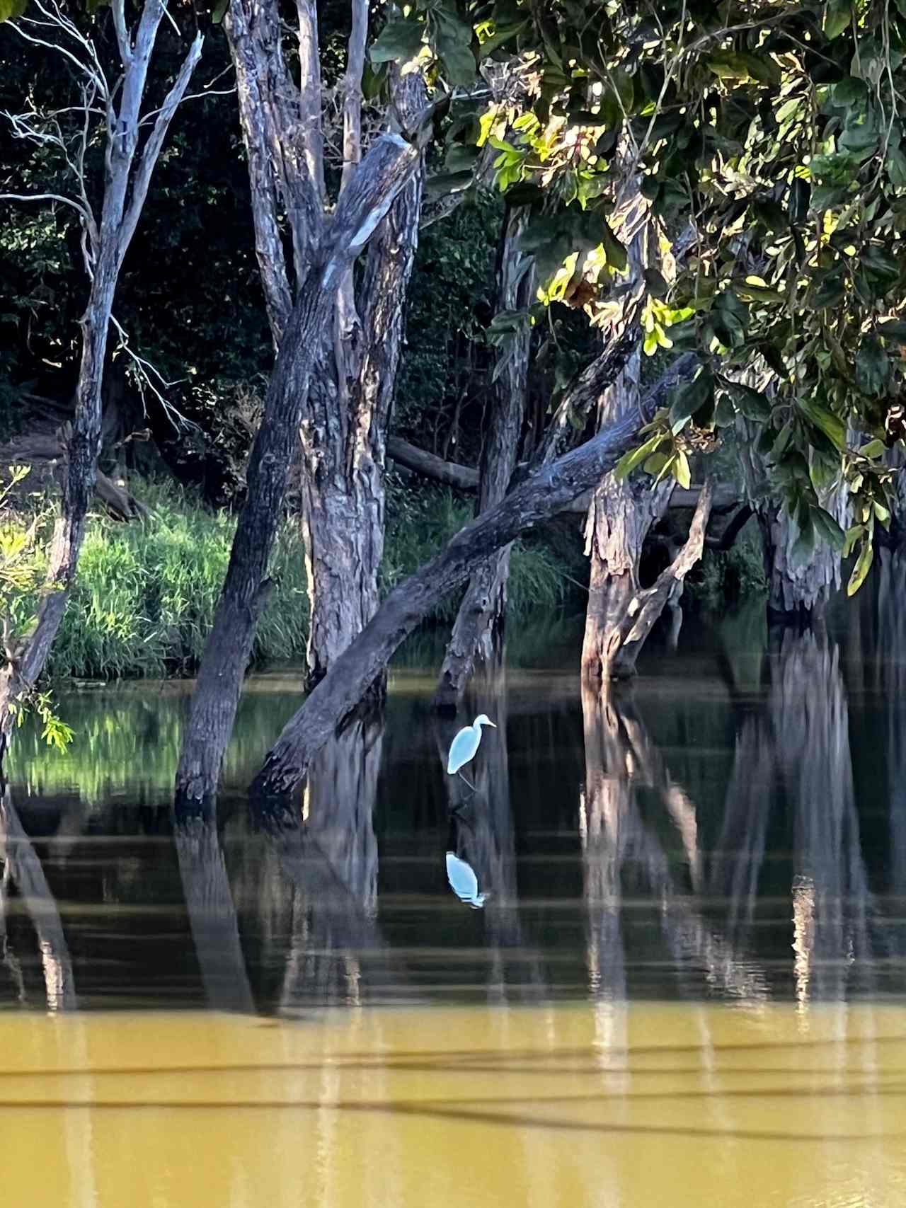 Paradise Lost on the Burnett