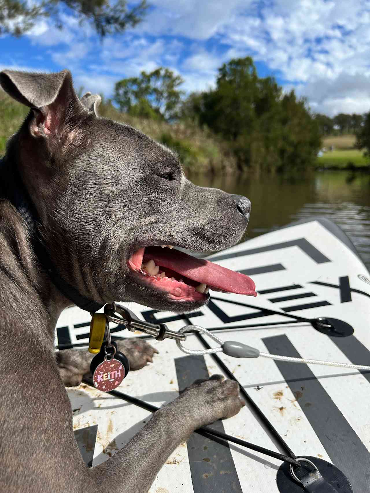Berrima Camping & Farmstay