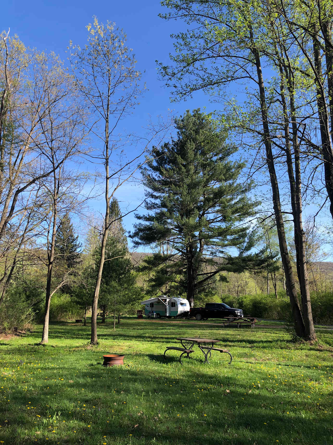 Bald Eagle Campsite