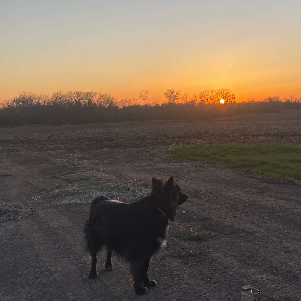 Beautiful sunsets!