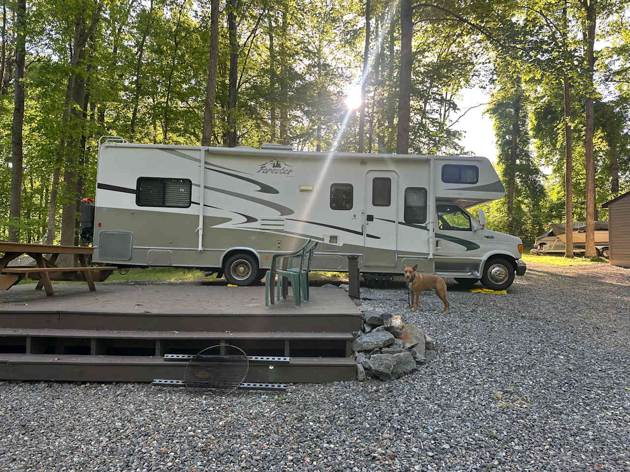 31’ RV and Huck didn’t want to leave 