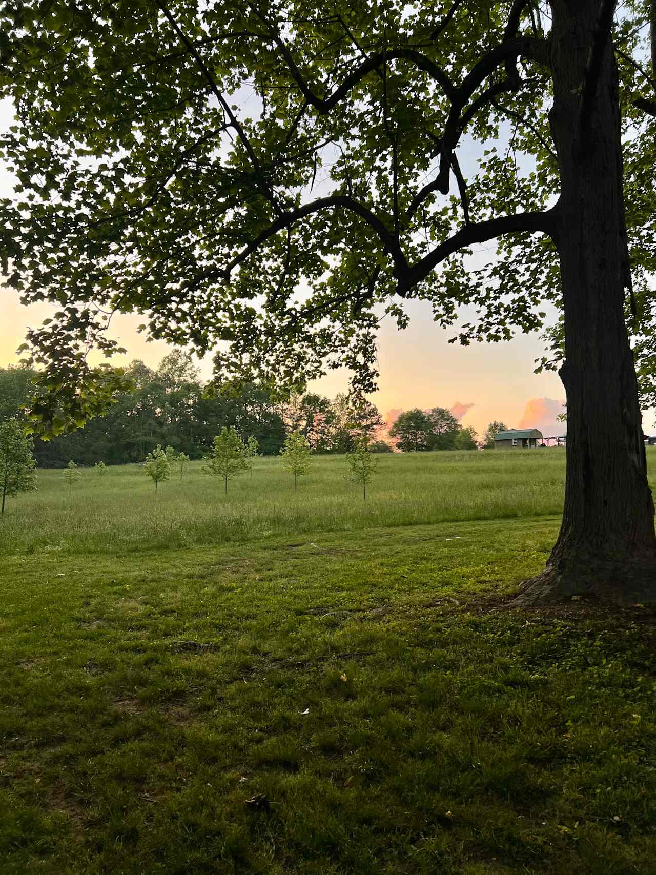 Beautiful view