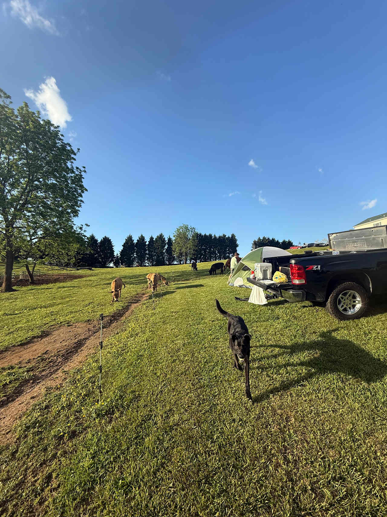 Mountain View Acres