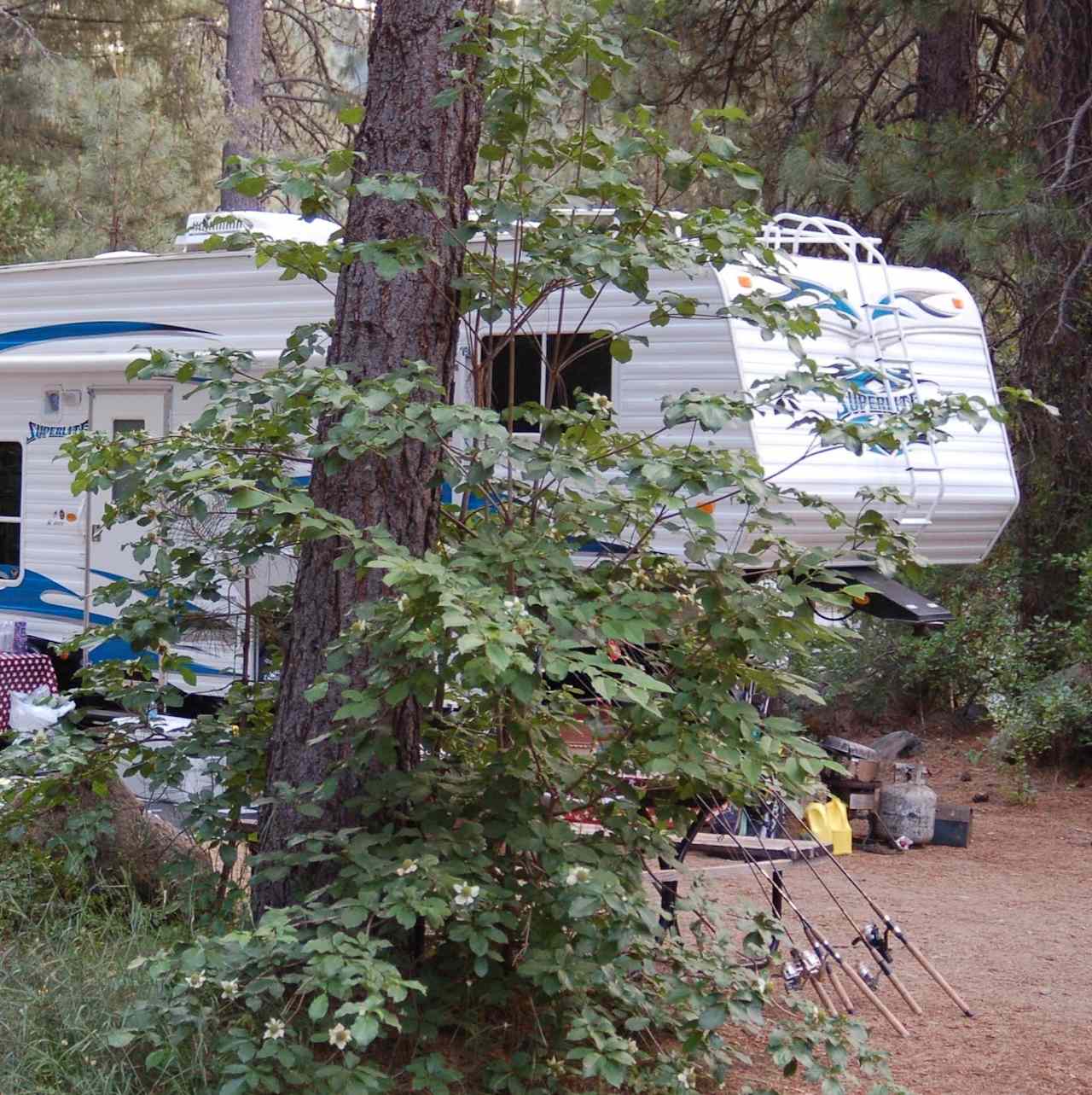 Rv With 50 Amp