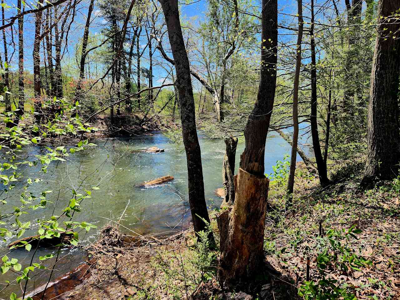 Little Mahanoy Creek Campground