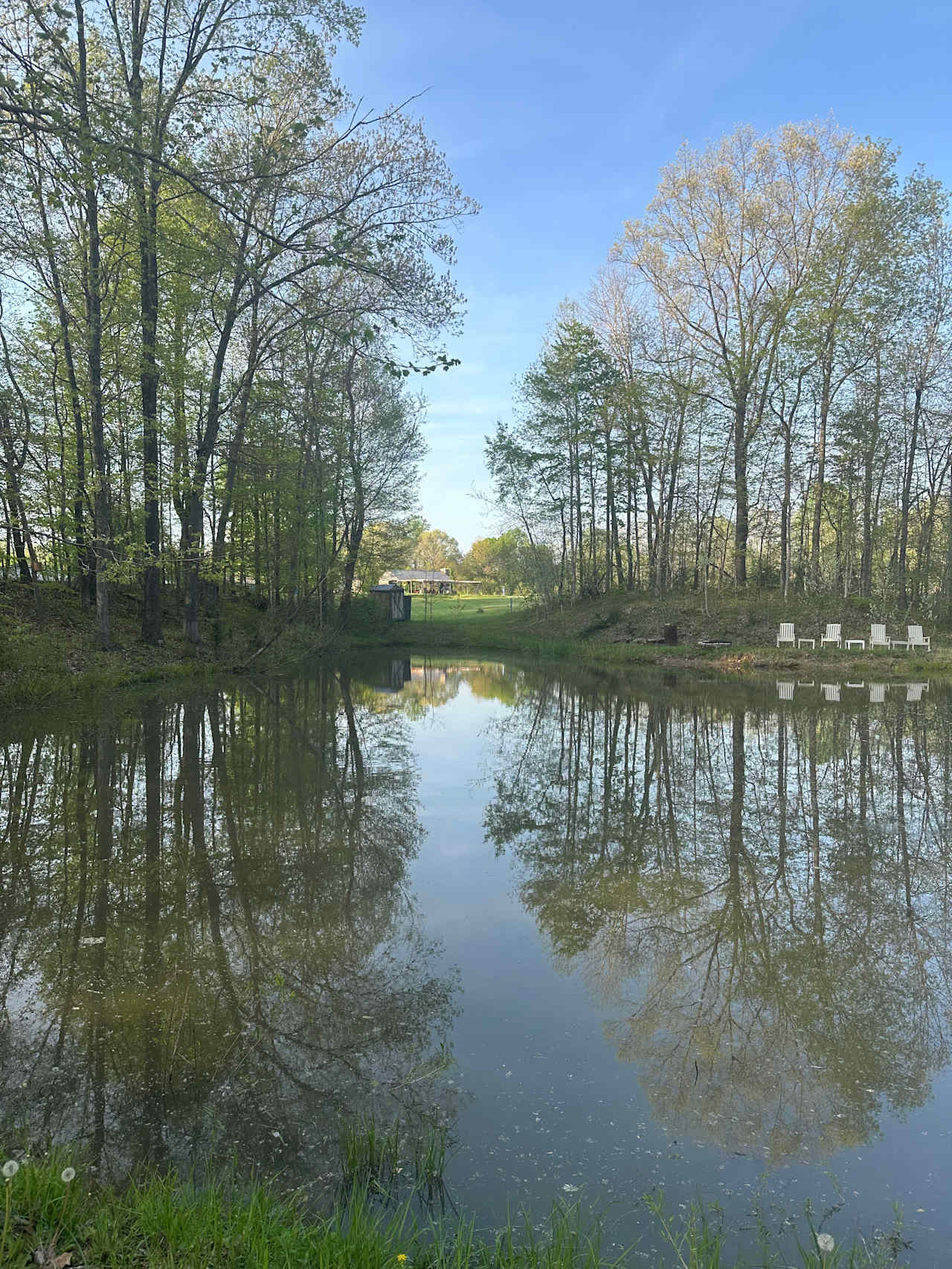 Backroads Vineyard LLC