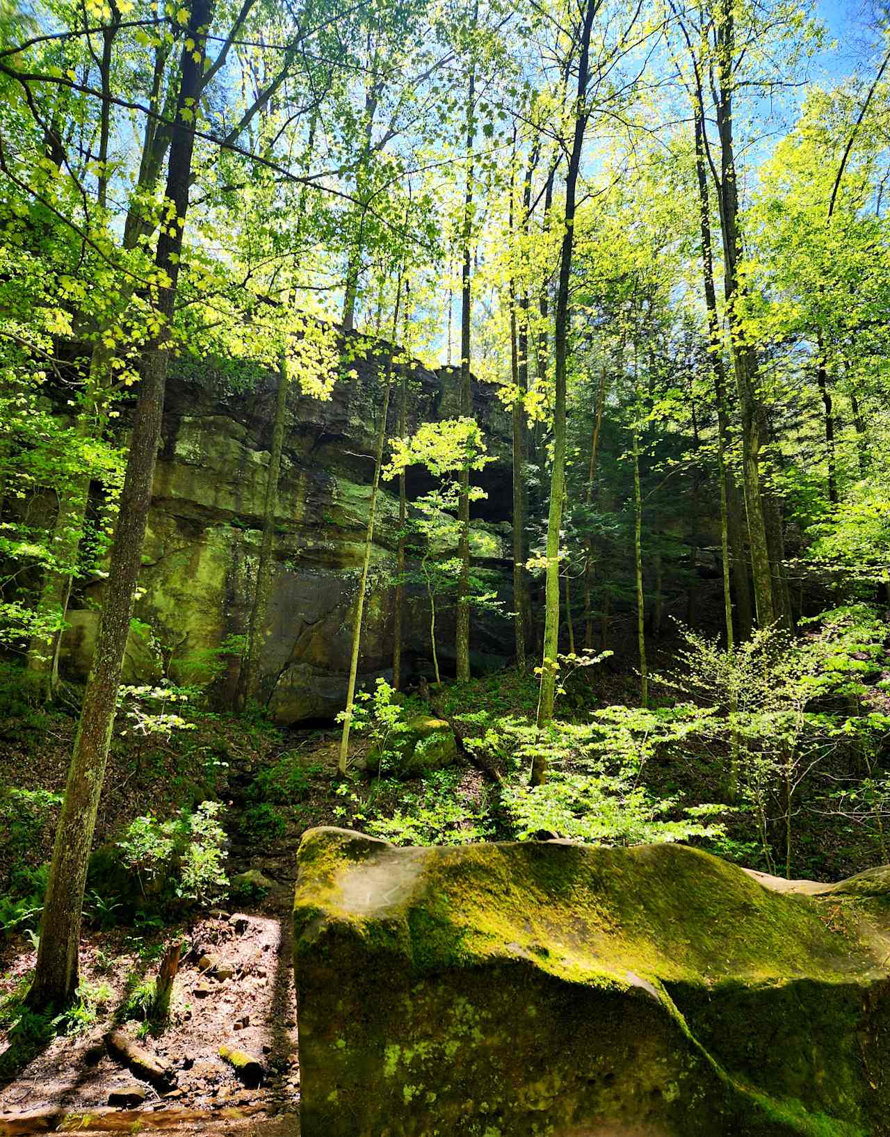 Hemlock Cliffs
