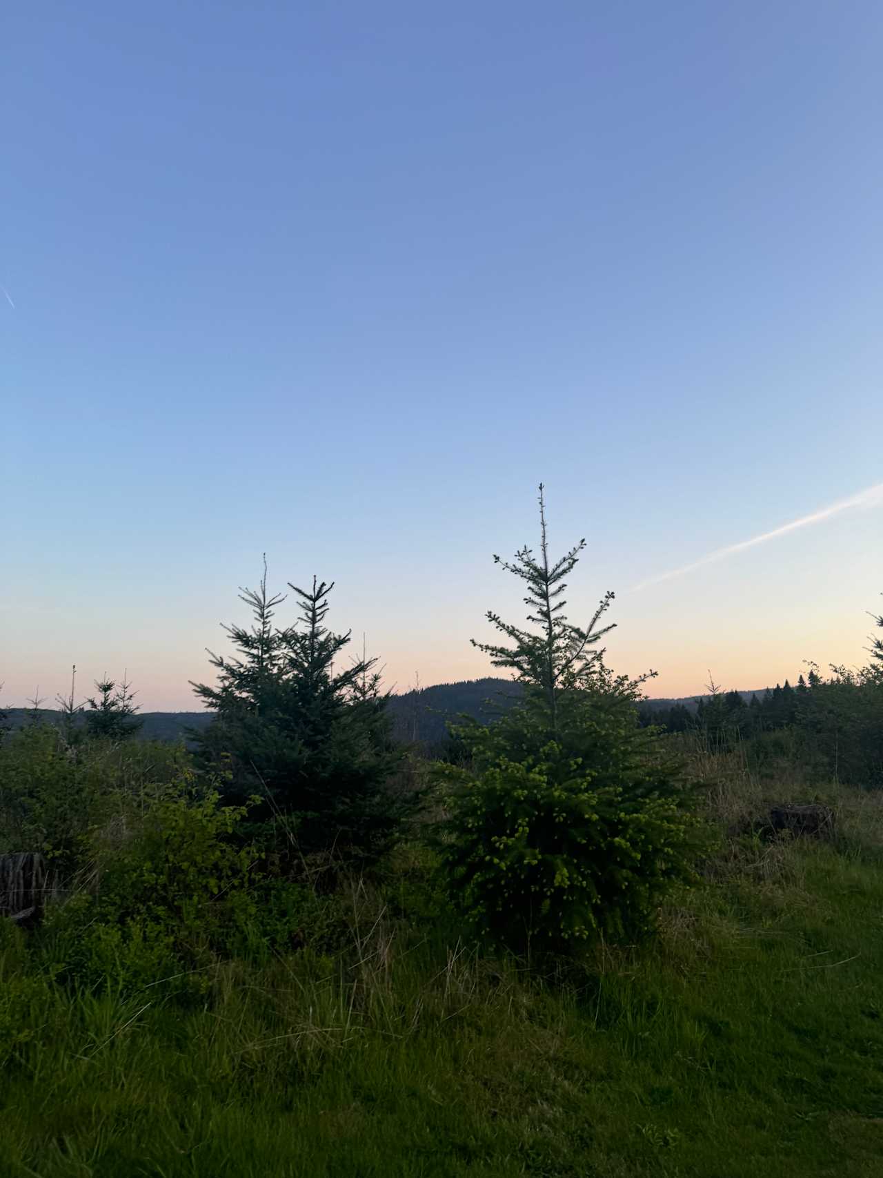 Elk Moon Yurt