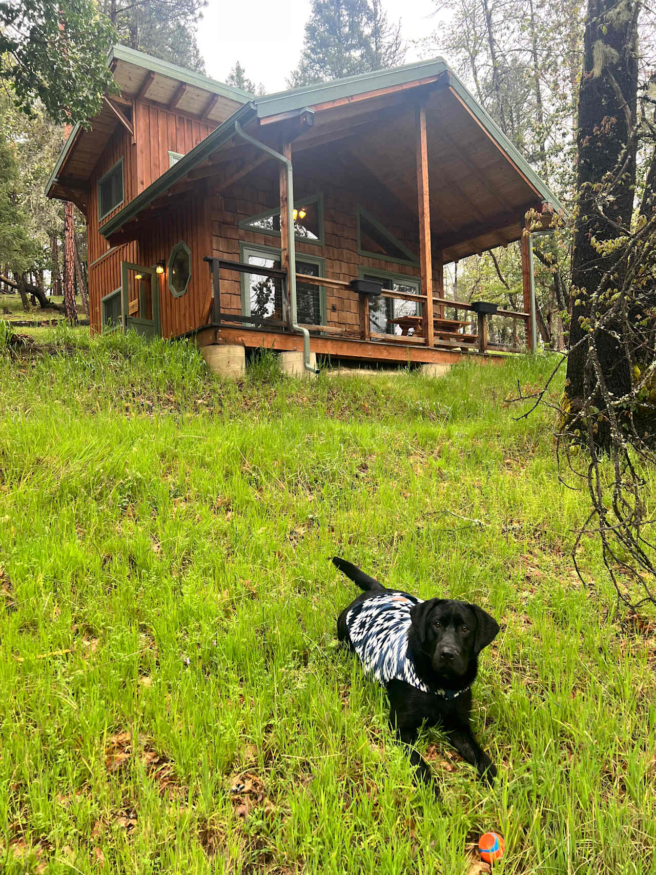 Sunrise cabin