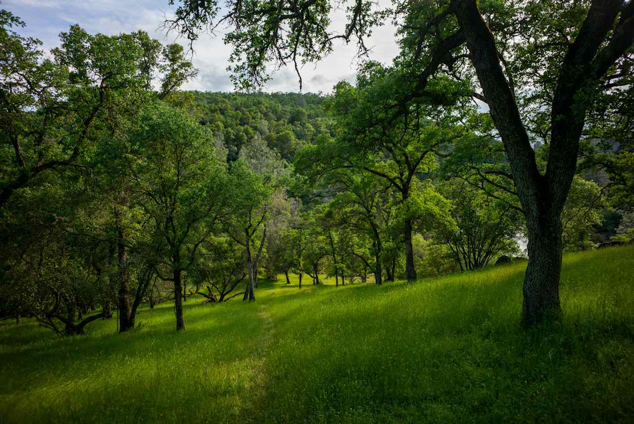 Cosumnes River Ranch