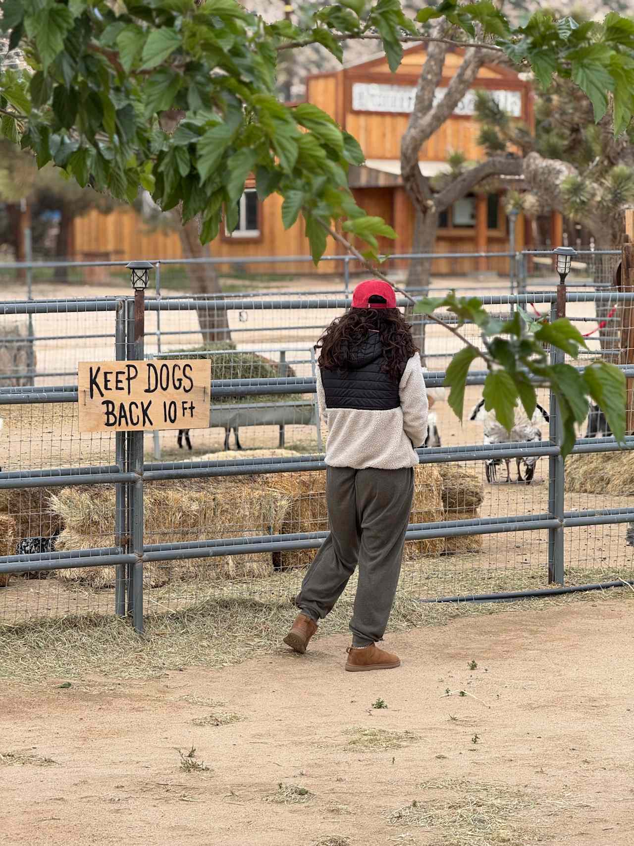 Pioneertown Corrals Camping