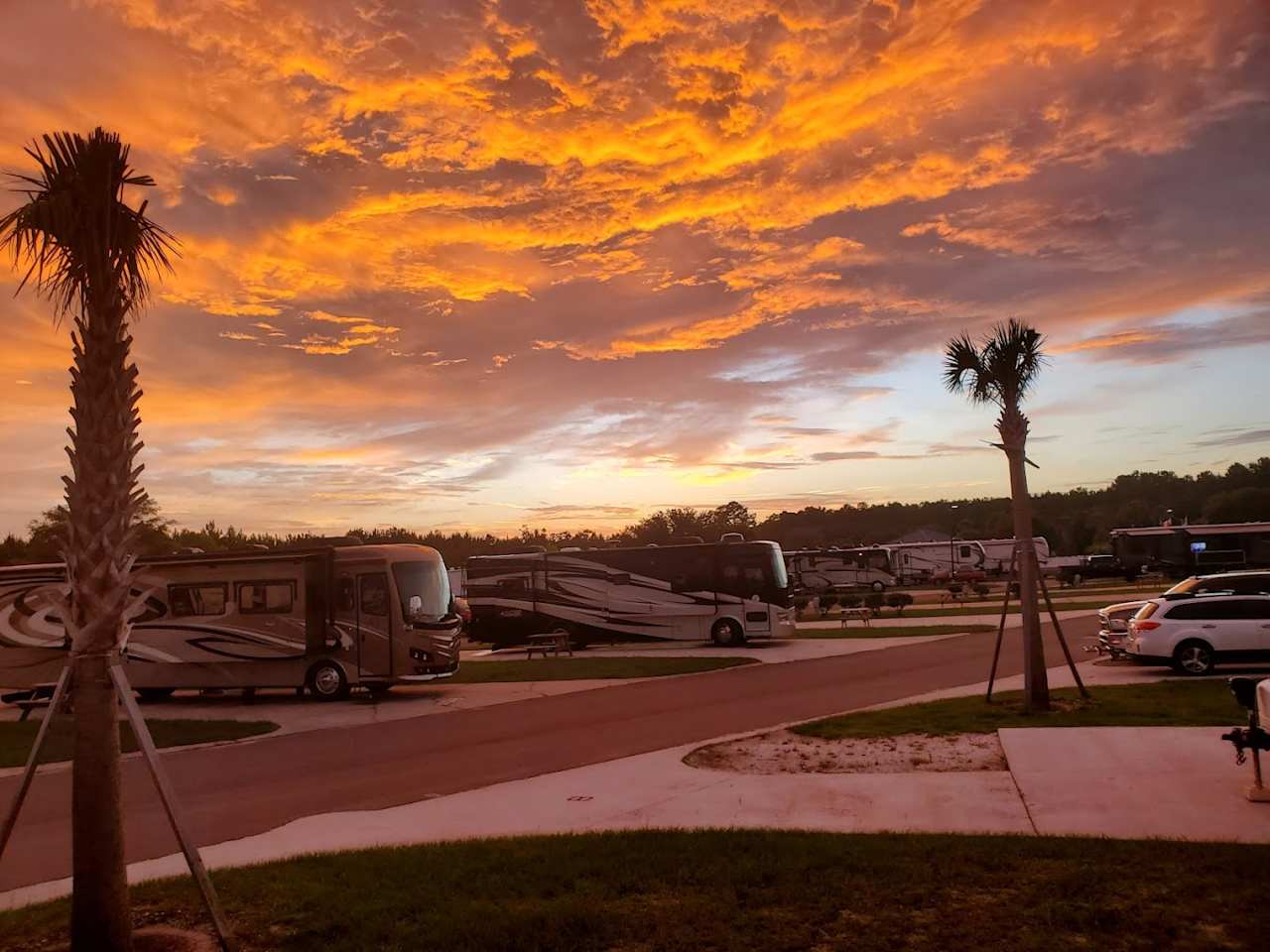 Pecan Park