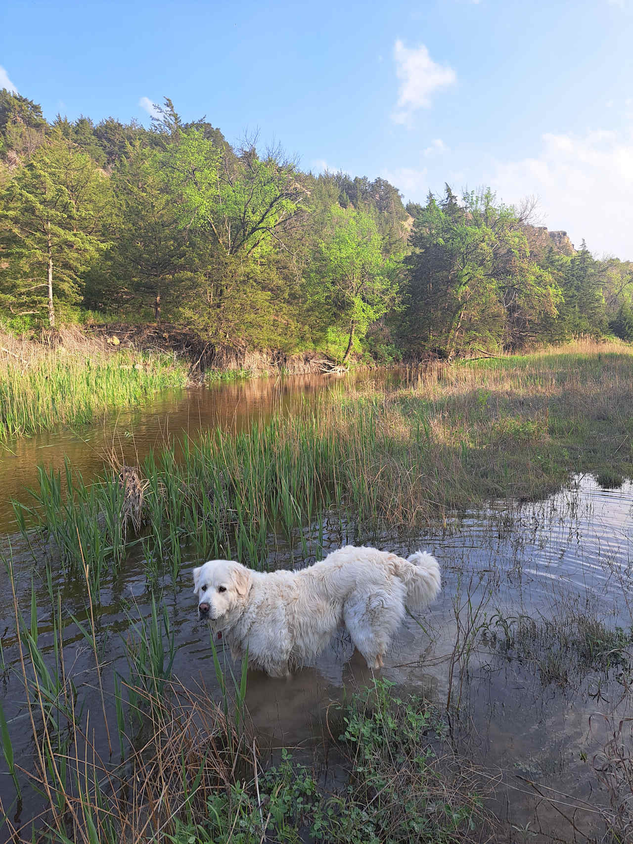 C2T Ranch on the Saline River