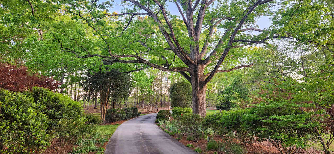 Parkers' Glen