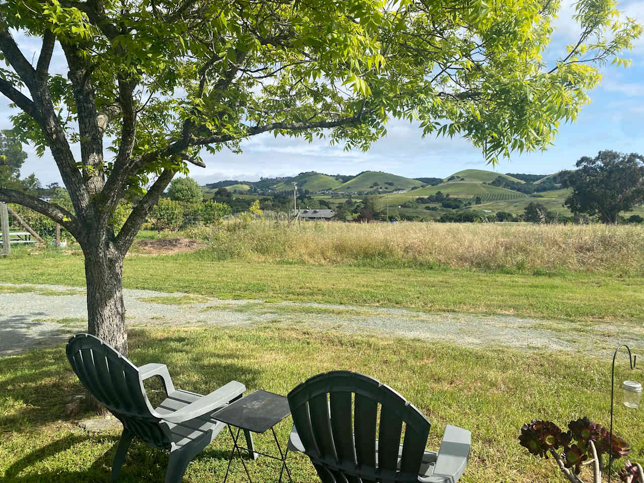 SLO Country Camp