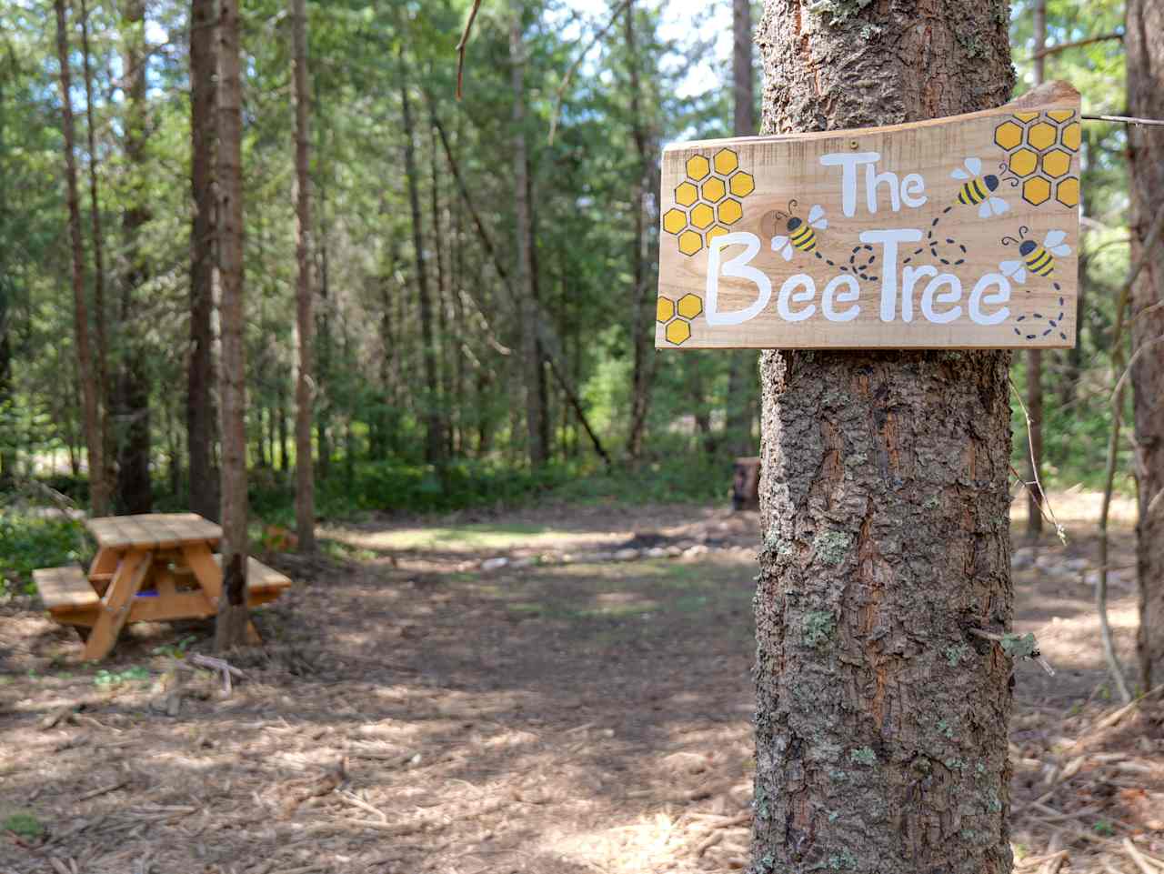 Five Acre Woods