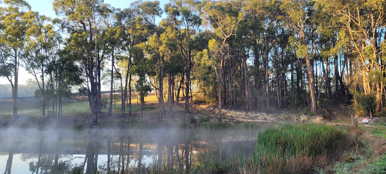 Morning mist at Platypus 