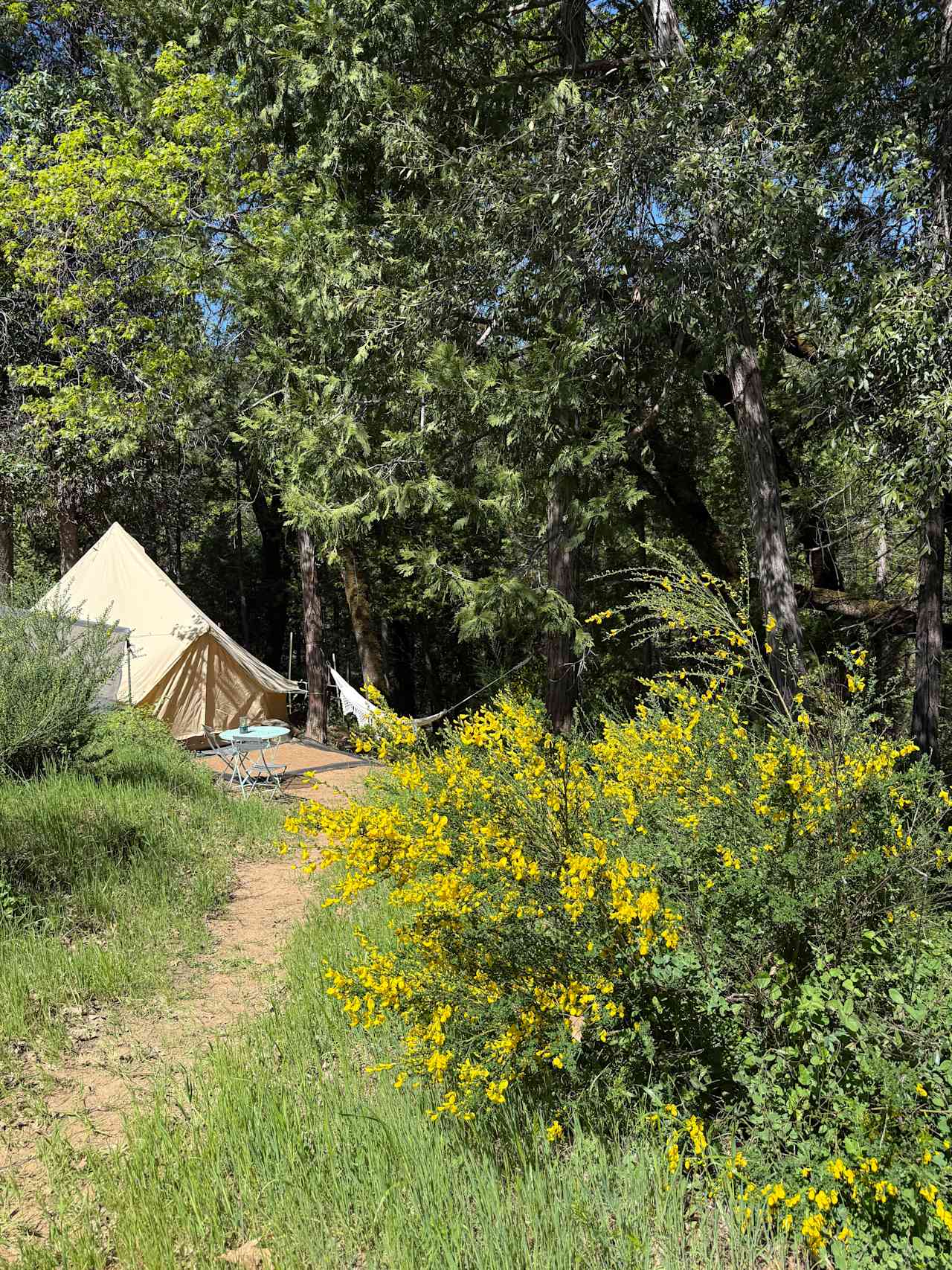 Sierra Sol Camp