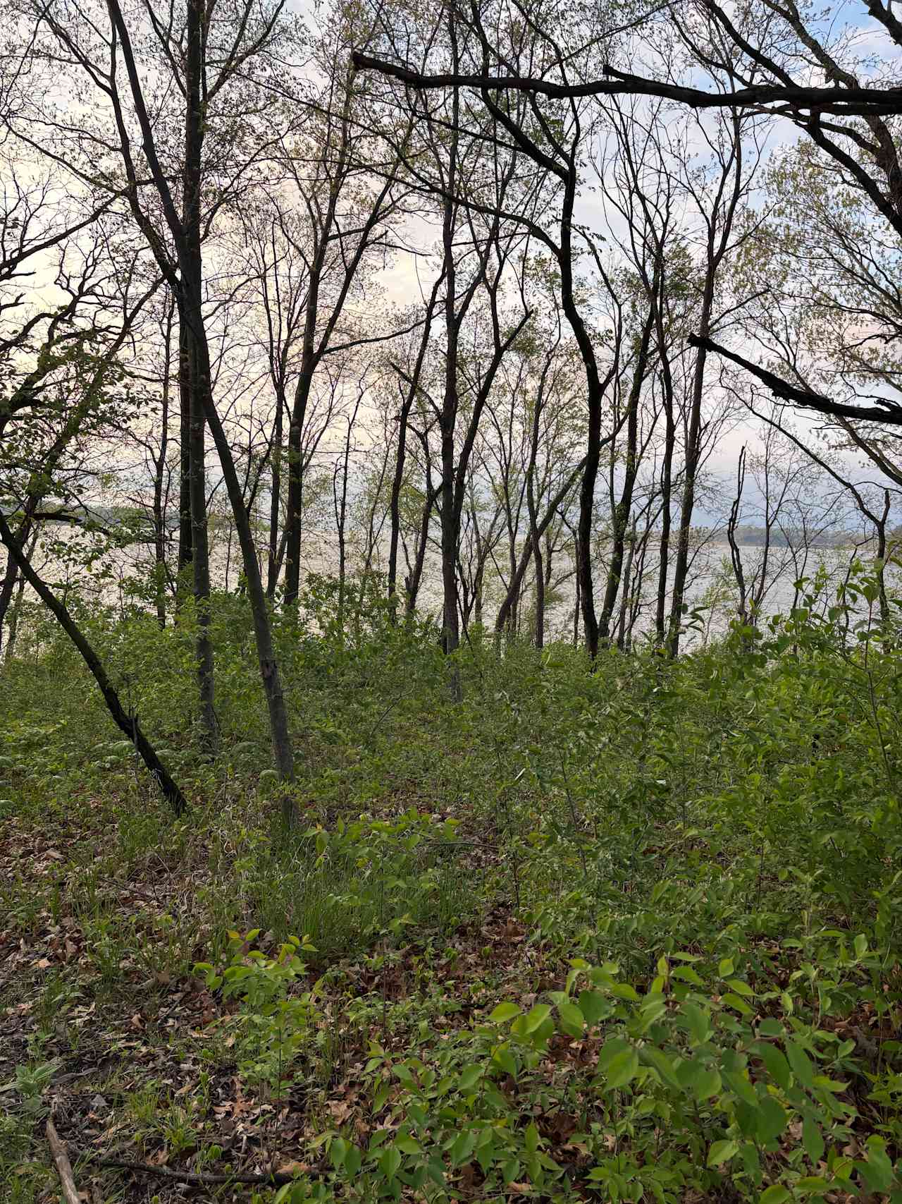 View of lake from boat house 