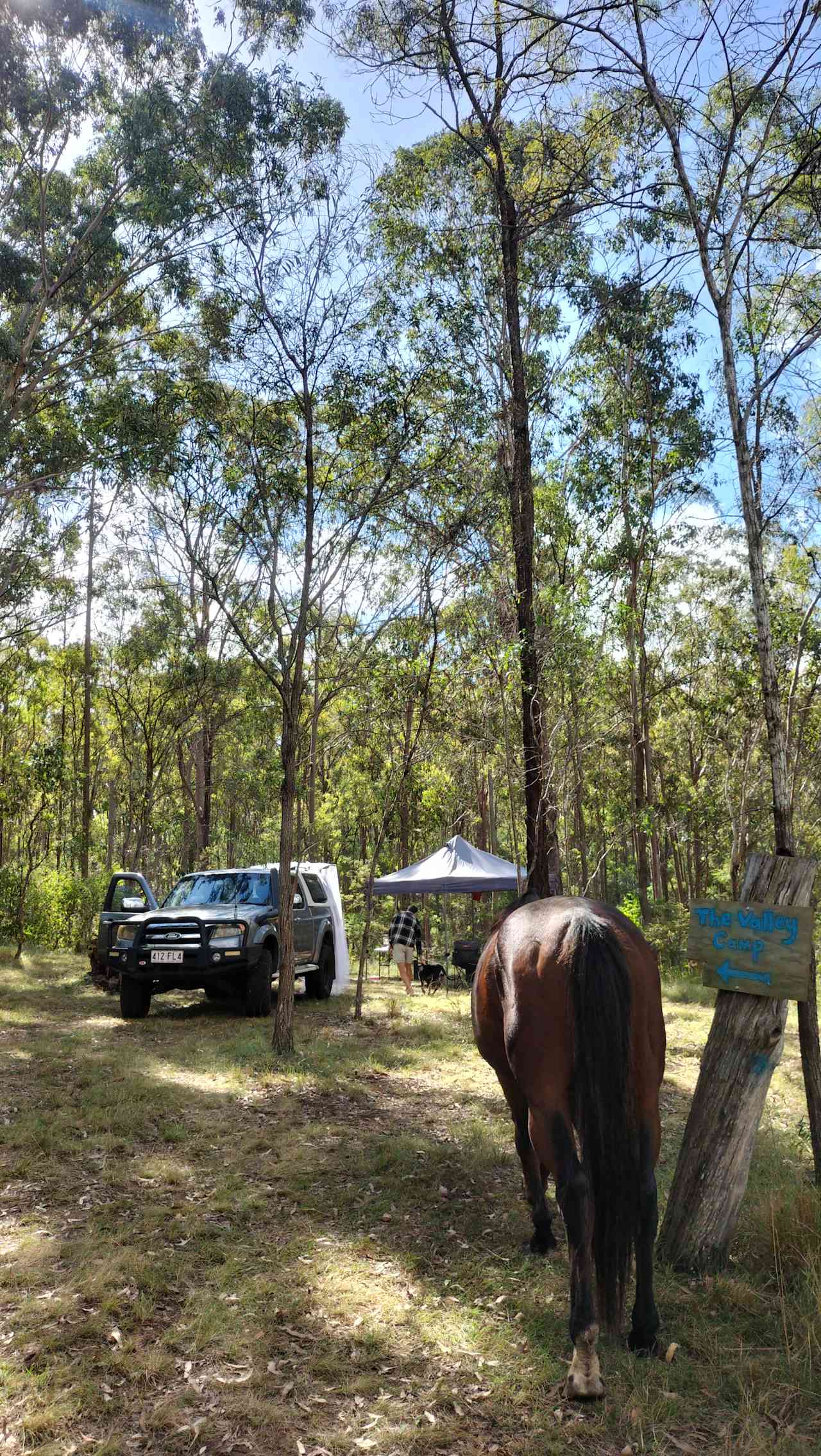 Hunter Downs