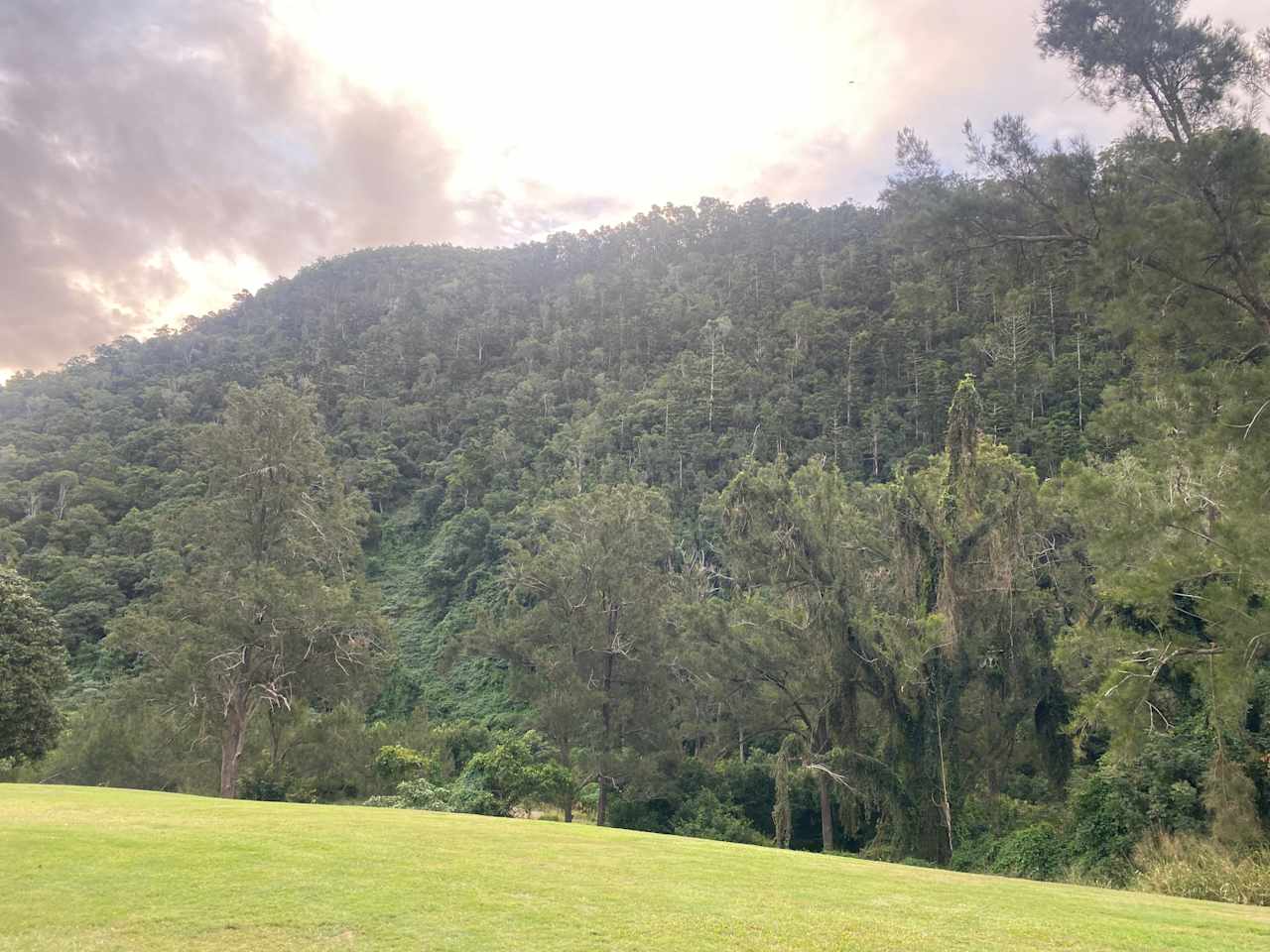Yabba Creek Farm