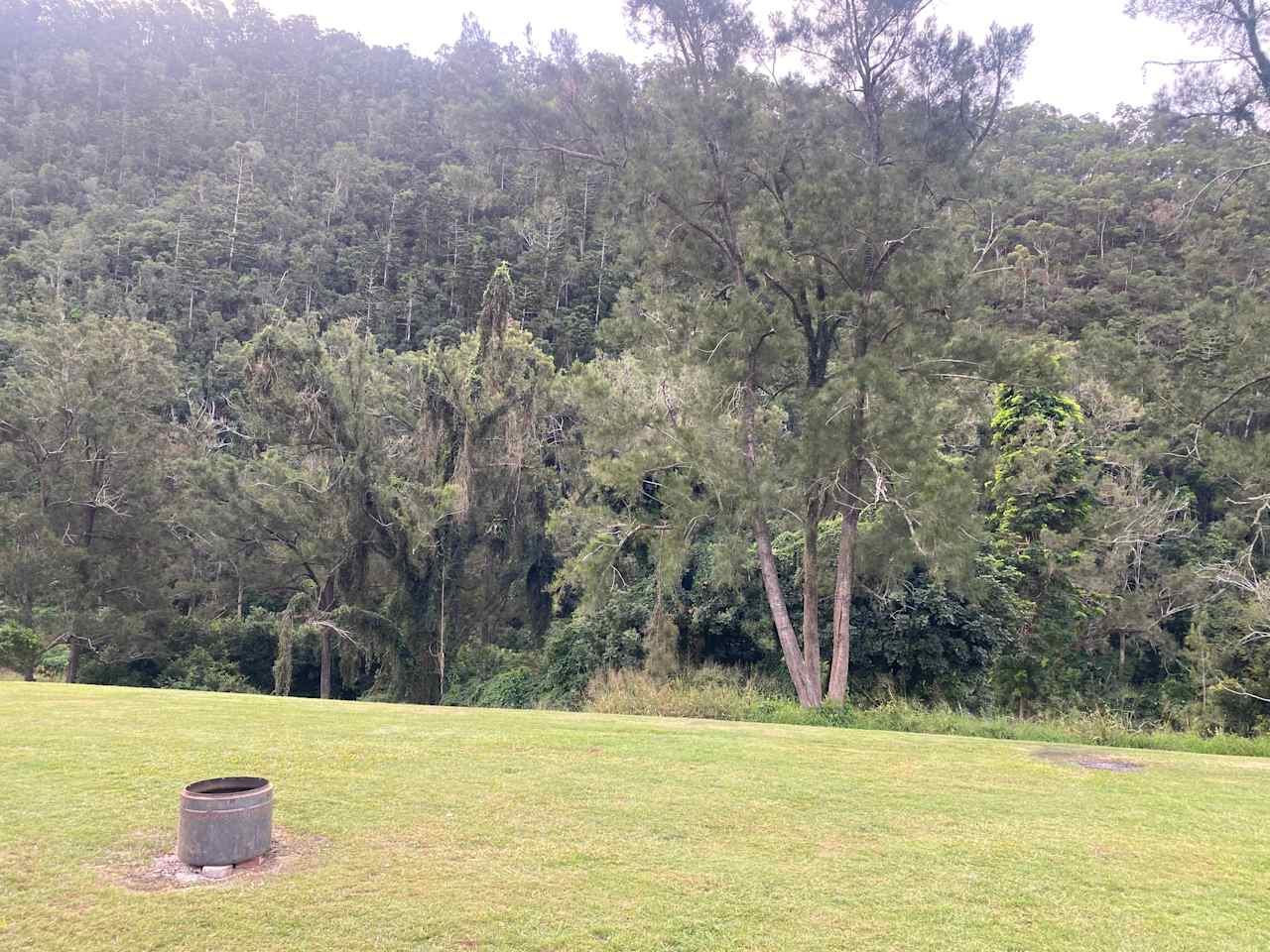 Yabba Creek Farm